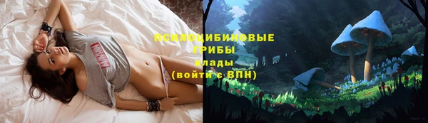 экстази Пересвет