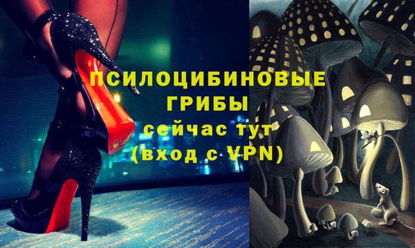 экстази Пересвет