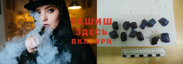 гашик Пестово