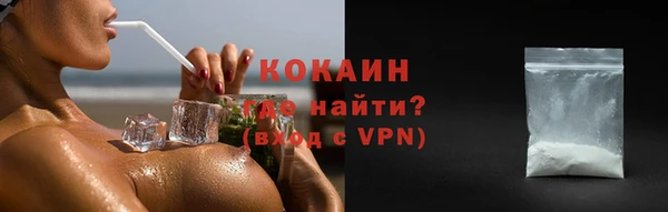 гашик Пестово