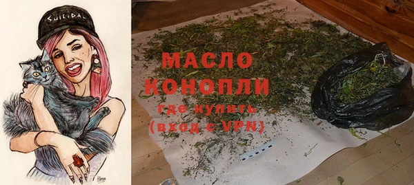 гашик Пестово