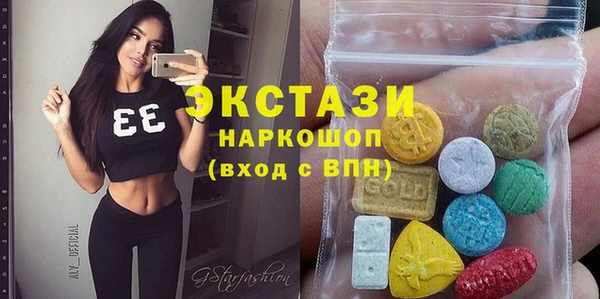 гашик Пестово