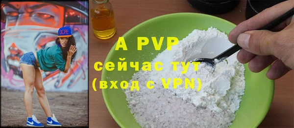 гашик Пестово