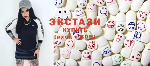 гашик Пестово