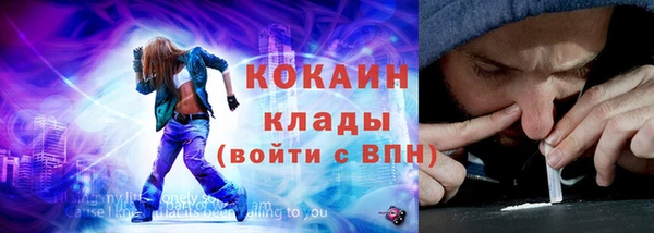 гашик Пестово