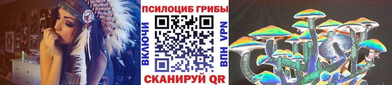 Псилоцибиновые грибы MAGIC MUSHROOMS  Константиновск 